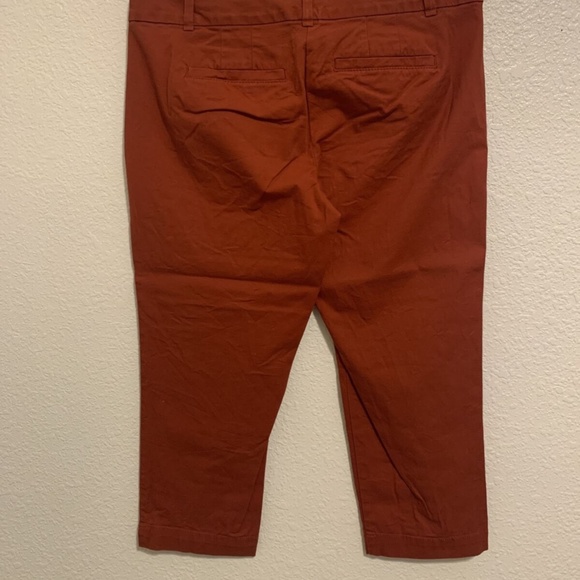 Classic Ann Taylor Loft Rust Red Capri Pant Woman's Petite 2 - Picture 6 of 11